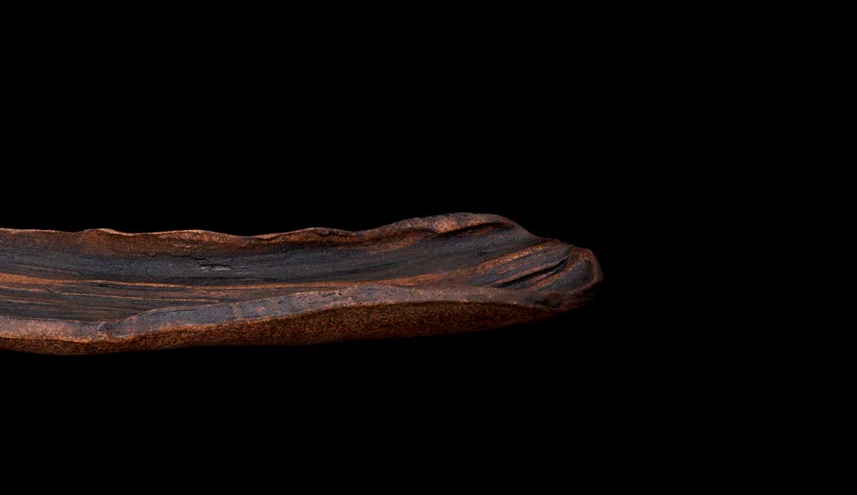 宝寿窯Cerawood Long Serving plate｜SAGAMA